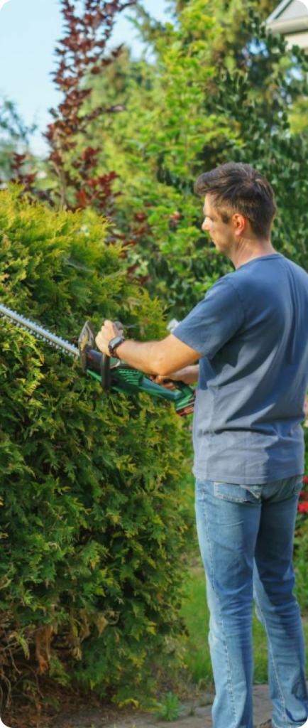 Precision Trimming and Shaping